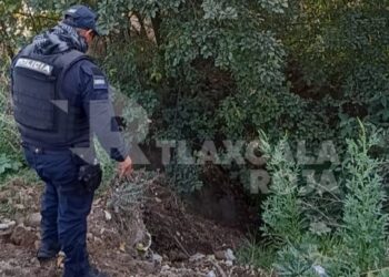 Tras caer a barranca fallece hombre en su domicilio de Tlaltelulco