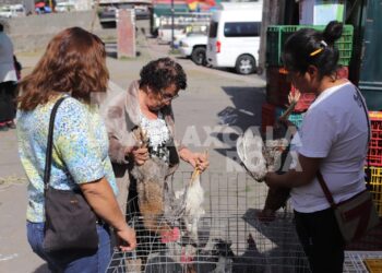 Venta de animales en el tianguis sabatino de Tlaxcala