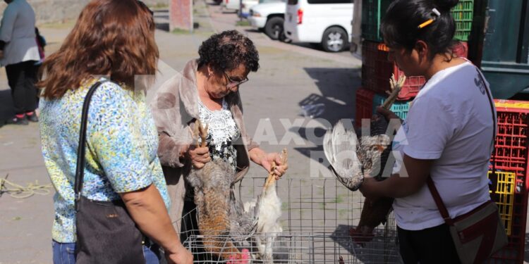 Venta de animales en el tianguis sabatino de Tlaxcala
