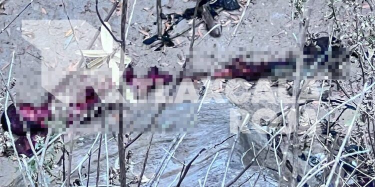 Localizan cadáver calcinado en Calpulalpan