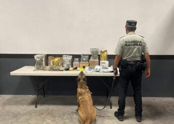GN localiza marihuana que iba a ser enviada por paquetería en Nuevo León