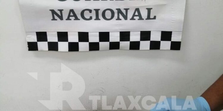 Asegura GN «narcopeluche» con dosis de cocaína en su interior en Aguascalientes