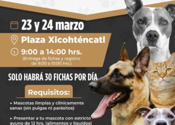 Realizará Ayuntamiento de Tlaxcala campaña de esterilización