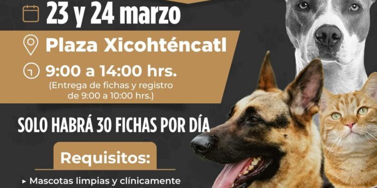 Realizará Ayuntamiento de Tlaxcala campaña de esterilización