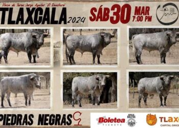 Tradicional corrida de sábado de Gloría en Tlaxcala Capital