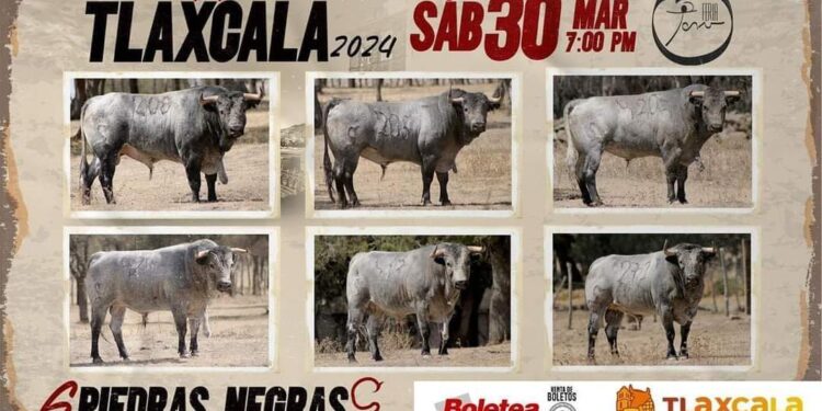 Tradicional corrida de sábado de Gloría en Tlaxcala Capital