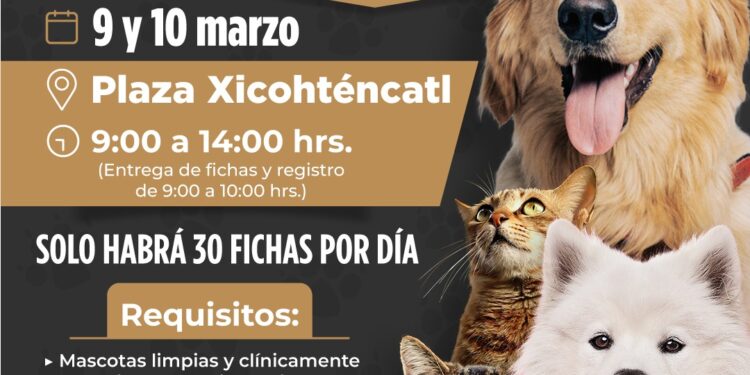 Habrá esterilización de perros y gatos en Tlaxcala Capital