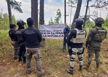 PFM CUMPLIMENTA ORDEN DE CATEO EN BOSQUE EN TLAXCO, TLAXCALA
