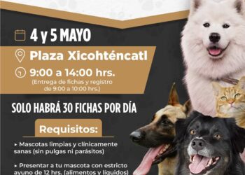 Realizarán jornada de esterilización en Tlaxcala