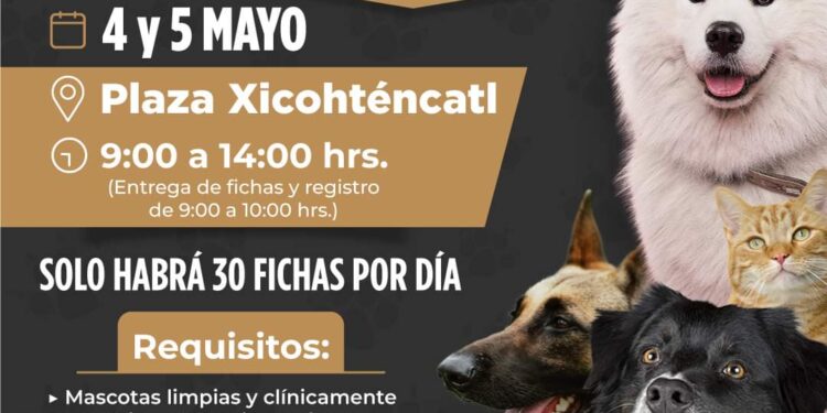 Realizarán jornada de esterilización en Tlaxcala