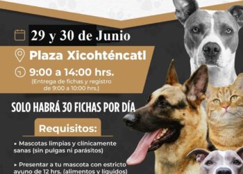 Ayuntamiento de Tlaxcala anuncia campaña de esterilización