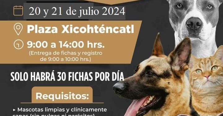 Ayuntamiento de Tlaxcala  invita a la campaña gratuita de esterilización de perros y gatos