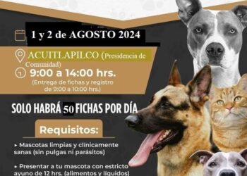 El ayuntamiento de Tlaxcala invita al público en general a participar en la campaña de esterilización de perros y gatos