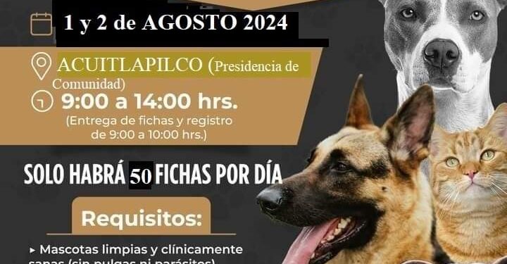 El ayuntamiento de Tlaxcala invita al público en general a participar en la campaña de esterilización de perros y gatos