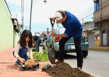 AYUNTAMIENTO DE CHIAUTEMPAN PONE EN MARCHA CAMPAÑA DE FORESTACIÓN