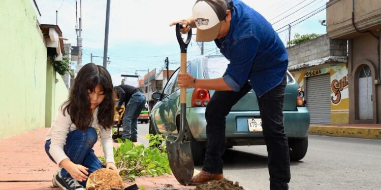 AYUNTAMIENTO DE CHIAUTEMPAN PONE EN MARCHA CAMPAÑA DE FORESTACIÓN