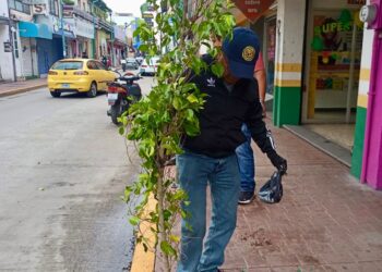 AYUNTAMIENTO DE CHIAUTEMPAN INVITA A QUE TE SUMES A PLANTAR UN ÁRBOL Y CONTINUAR CON LA CAMPAÑA “1000 ÁRBOLES PARA RESPIRAR”