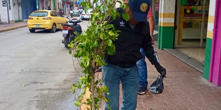 AYUNTAMIENTO DE CHIAUTEMPAN INVITA A QUE TE SUMES A PLANTAR UN ÁRBOL Y CONTINUAR CON LA CAMPAÑA “1000 ÁRBOLES PARA RESPIRAR”
