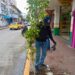 AYUNTAMIENTO DE CHIAUTEMPAN INVITA A QUE TE SUMES A PLANTAR UN ÁRBOL Y CONTINUAR CON LA CAMPAÑA “1000 ÁRBOLES PARA RESPIRAR”