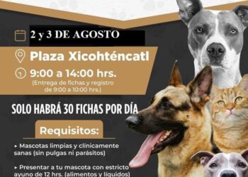 Ayuntamiento de Tlaxcala invita a la campaña de esterilización