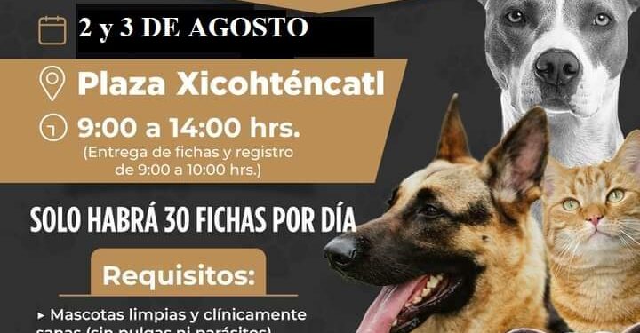 Ayuntamiento de Tlaxcala invita a la campaña de esterilización
