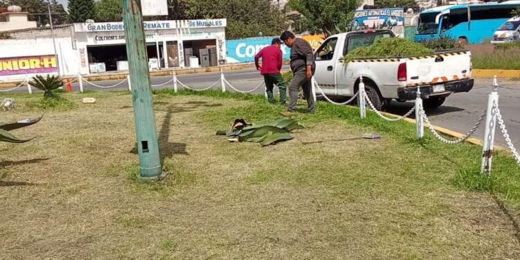 Ayuntamiento de Totolac realiza trabajos de imagen urbana