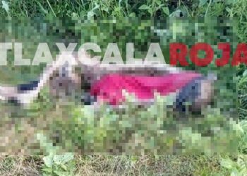 Localizan osamenta humana en Tetlatlahuca