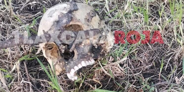 Encuentran cráneo humano en Terrenate