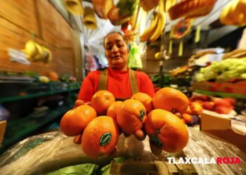 Mandarina alcanza los 110 pesos por kilo en Tlaxcala