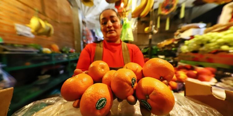 Mandarina alcanza los 110 pesos por kilo en Tlaxcala