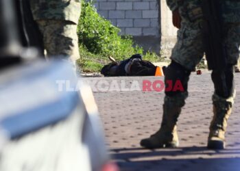 Semi embolsado, localiza una masculino en San Pablo del Monte