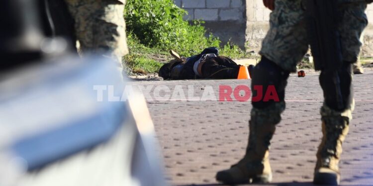 Semi embolsado, localiza una masculino en San Pablo del Monte