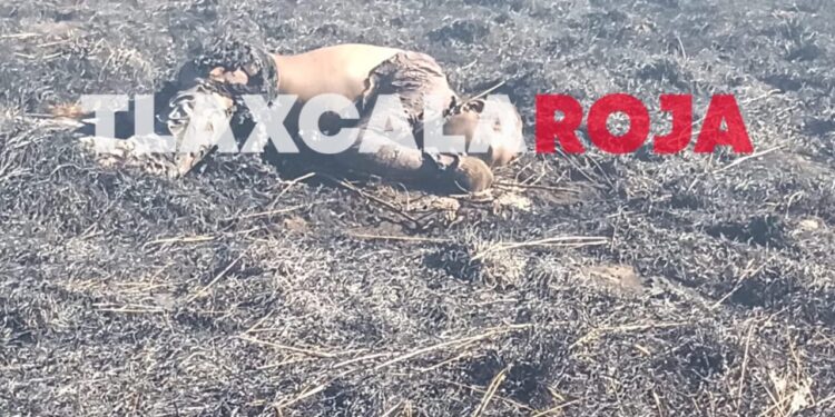 Masculino intenta apagar incendio en Quilehtla y fallece calcinado en terrenos de labor