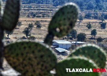 Resguardan «Rancho de La Curandera» en Atotonilco, Tlaxco donde se localizó un narcolaboratorio para la elaboración de metanfetaminas ligado a la «Mayiza»
