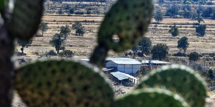 Resguardan «Rancho de La Curandera» en Atotonilco, Tlaxco donde se localizó un narcolaboratorio para la elaboración de metanfetaminas ligado a la «Mayiza»