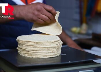 Tortillas mantienen precio estable en el mercado Emilio Sánchez Piedras