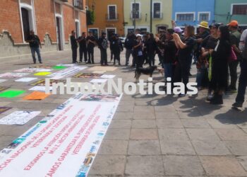 Marchan Médicos Veterinarios en Tlaxcala