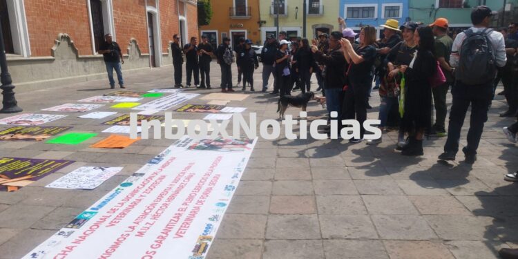 Marchan Médicos Veterinarios en Tlaxcala