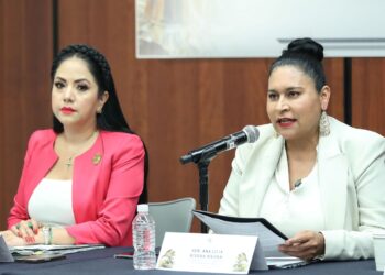 Impulsa Ana Lilia Rivera reforma a Ley de Ascensos y Recompensas del Ejército y Fuerza Aérea Mexicanos