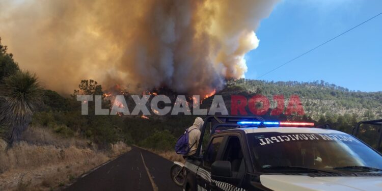 🚨🔥 #IncendioForestal en #Libres, #Puebla, cruza a #Atzayanca, #Tlaxcala. Equipos de SEMAR_mx, Defensamx1, CONAFOR, AmbienteGobPue, bomberos, voluntarios y PC Municipal trabajan sin descanso por aire y tierra para controlarlo. 🦺✈️ ¡Apoyemos su labor! #UnidosPorLaNaturaleza 🌳