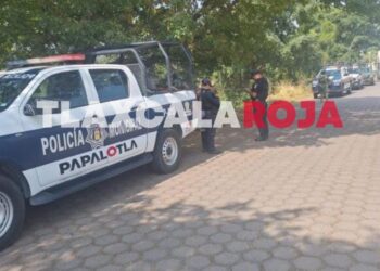 Perro Alerta sobre Cráneo Humano en Barranca de Papalotla 🐶🦴⚠️