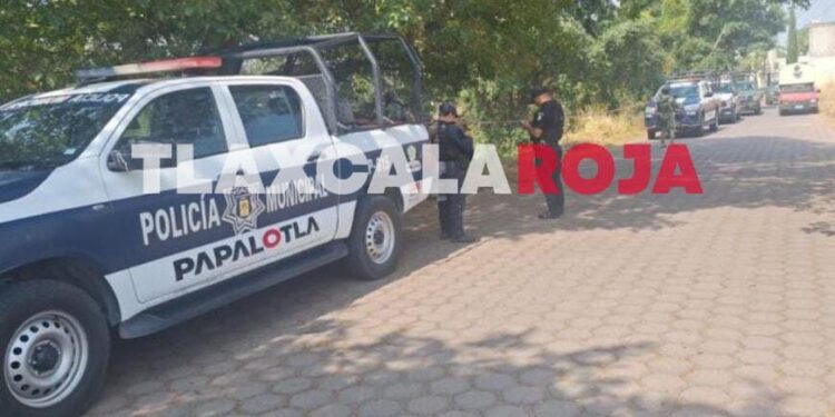 Perro Alerta sobre Cráneo Humano en Barranca de Papalotla 🐶🦴⚠️