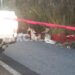Hallan cadáver torturado y encobijado en la Vía Corta Chiautempan-Puebla