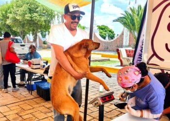 AVANZA CON ÉXITO CAMPAÑA GRATUITA DE ESTERILIZACIÓN CANINA Y FELINA EN LA CAPITAL; ESTE JUEVES ESTUVO EN CHIMALPA