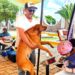 AVANZA CON ÉXITO CAMPAÑA GRATUITA DE ESTERILIZACIÓN CANINA Y FELINA EN LA CAPITAL; ESTE JUEVES ESTUVO EN CHIMALPA